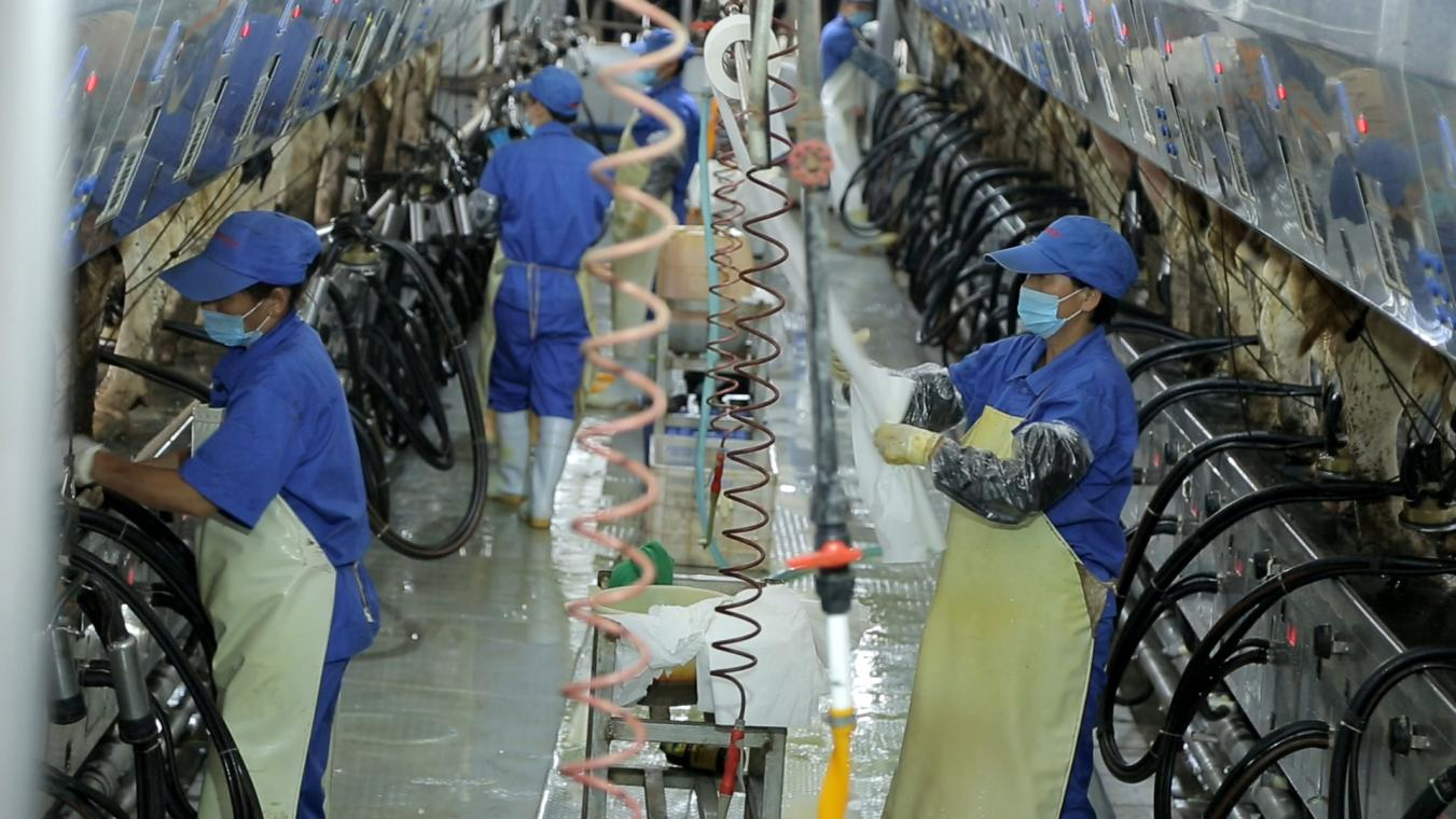 花花牛丨河南農業大學黨委副書記、校長介曉磊一行蒞臨花花牛河南瑞亞參觀調研