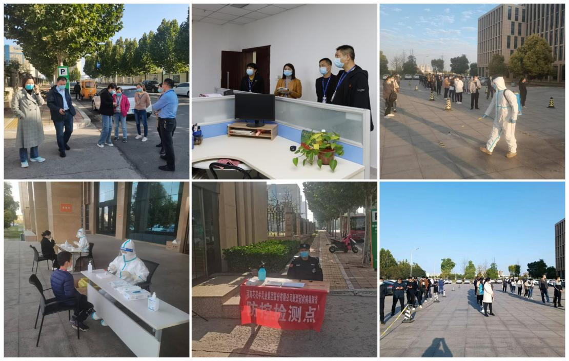 抗疫情、保供應、顯擔當——花花牛在行動?。。? style=