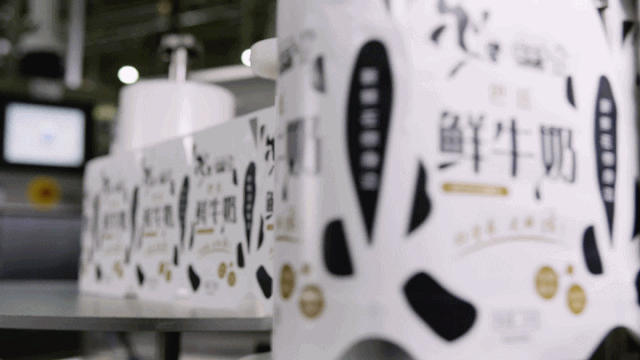 快訊 | 長江商學院智能制造學會走進花花牛乳業集團