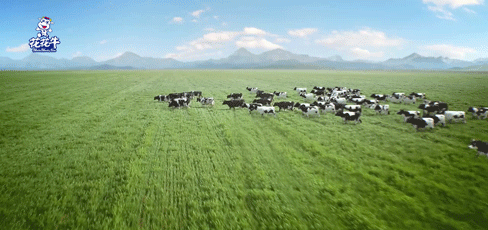 快訊 | 湖北省農(nóng)業(yè)廳副廳長王海濤等領(lǐng)導(dǎo)一行蒞臨河南花花牛乳業(yè)集團(tuán)參觀調(diào)研 快訊 | 湖北省農(nóng)業(yè)廳副廳長王海濤等領(lǐng)導(dǎo)一行蒞臨河南花花牛乳業(yè)集團(tuán)參觀調(diào)研