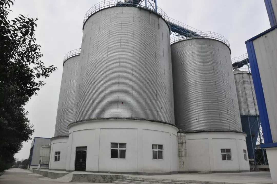 第31屆中原畜牧業交易博覽會 || 花花牛乳業集團獲“河南省畜牧行業——最具影響力品牌”獎