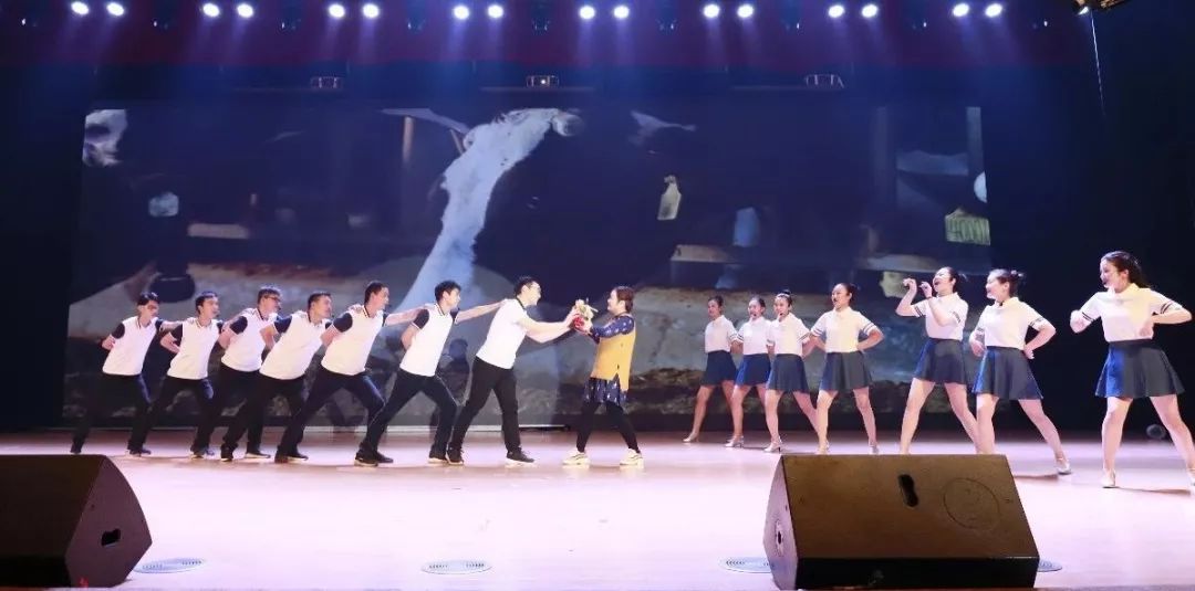 “贏在2019”，花花牛乳業集團2019年新春晚會盛大開幕