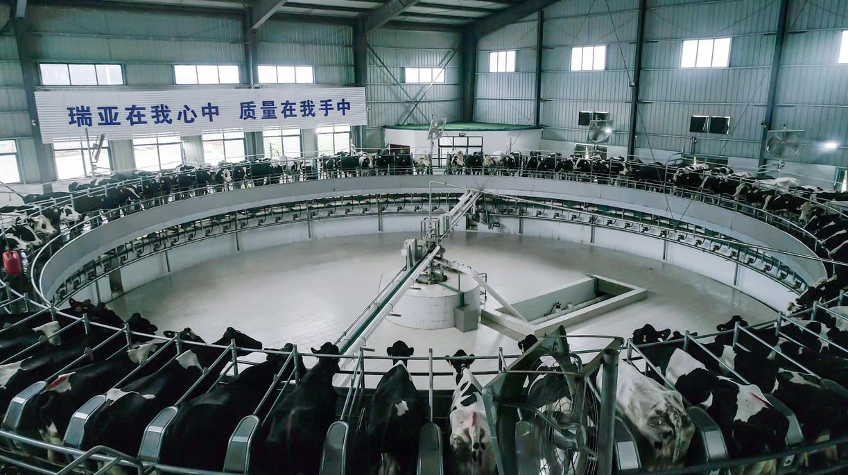 又雙叒叕獲獎啦！花花牛榮獲“乳品質量安全管理 優秀企業”