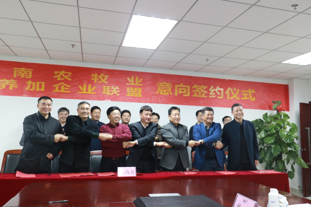 涉農企業強強聯合，“抱團取暖”共迎企業發展的春天