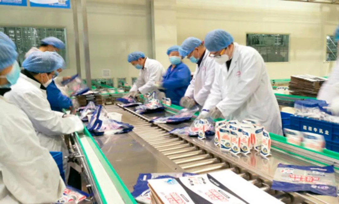 快訊丨河南省副省長武國定蒞臨花花牛乳業(yè)集團調(diào)研重點保障企業(yè)復(fù)工復(fù)產(chǎn)情況